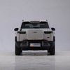 BYD Leopard Titanium 3